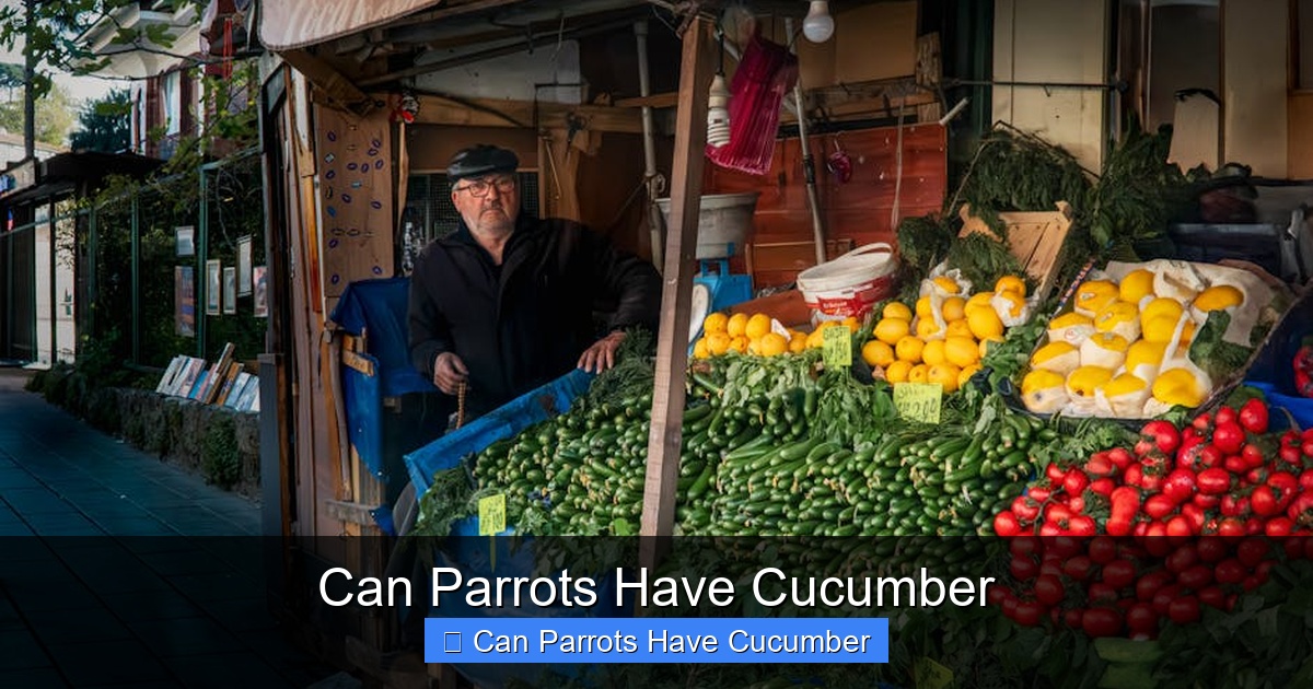 Featured image for Can Parrots Have Cucumber
