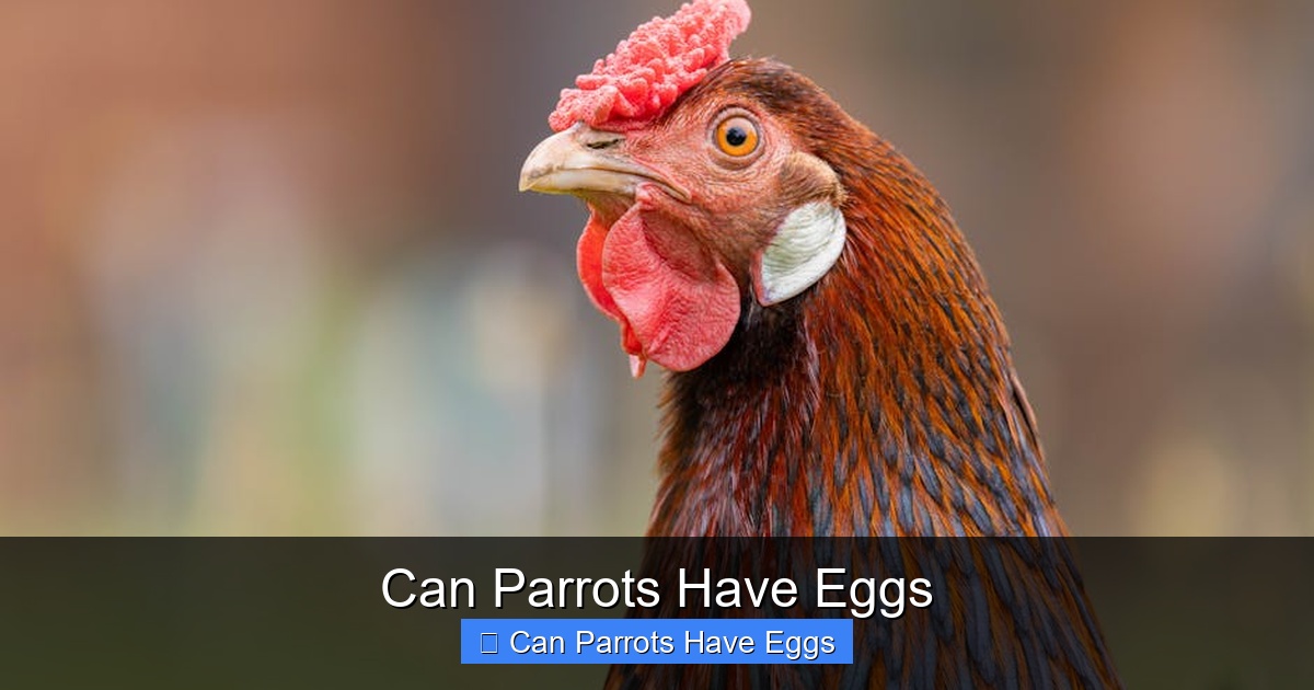 Featured image for Can Parrots Have Eggs