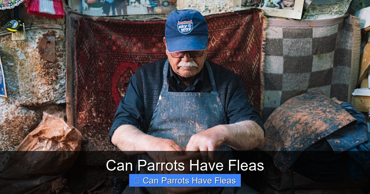 Featured image for Can Parrots Have Fleas