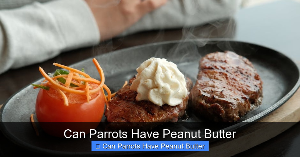 Featured image for Can Parrots Have Peanut Butter