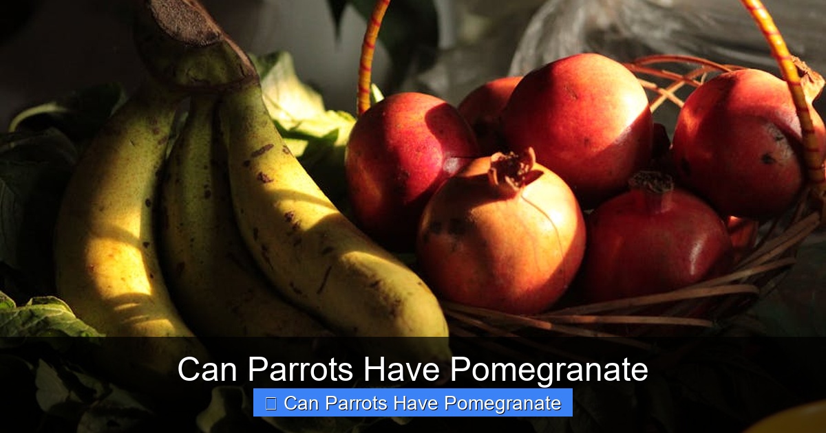Featured image for Can Parrots Have Pomegranate