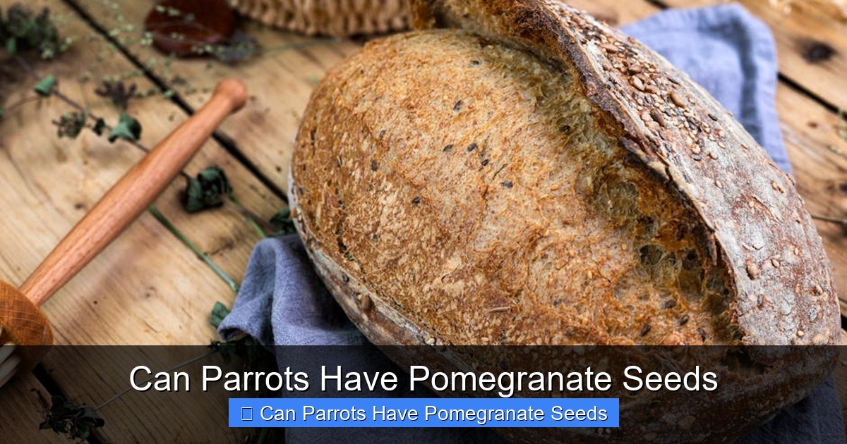 Featured image for Can Parrots Have Pomegranate Seeds