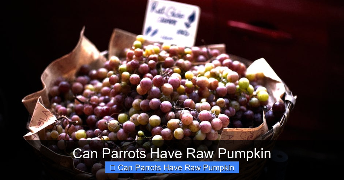 Featured image for Can Parrots Have Raw Pumpkin