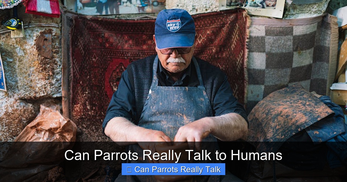 Featured image for Can Parrots Really Talk to Humans