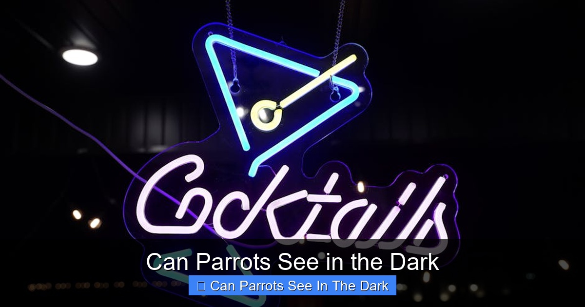 Featured image for Can Parrots See in the Dark
