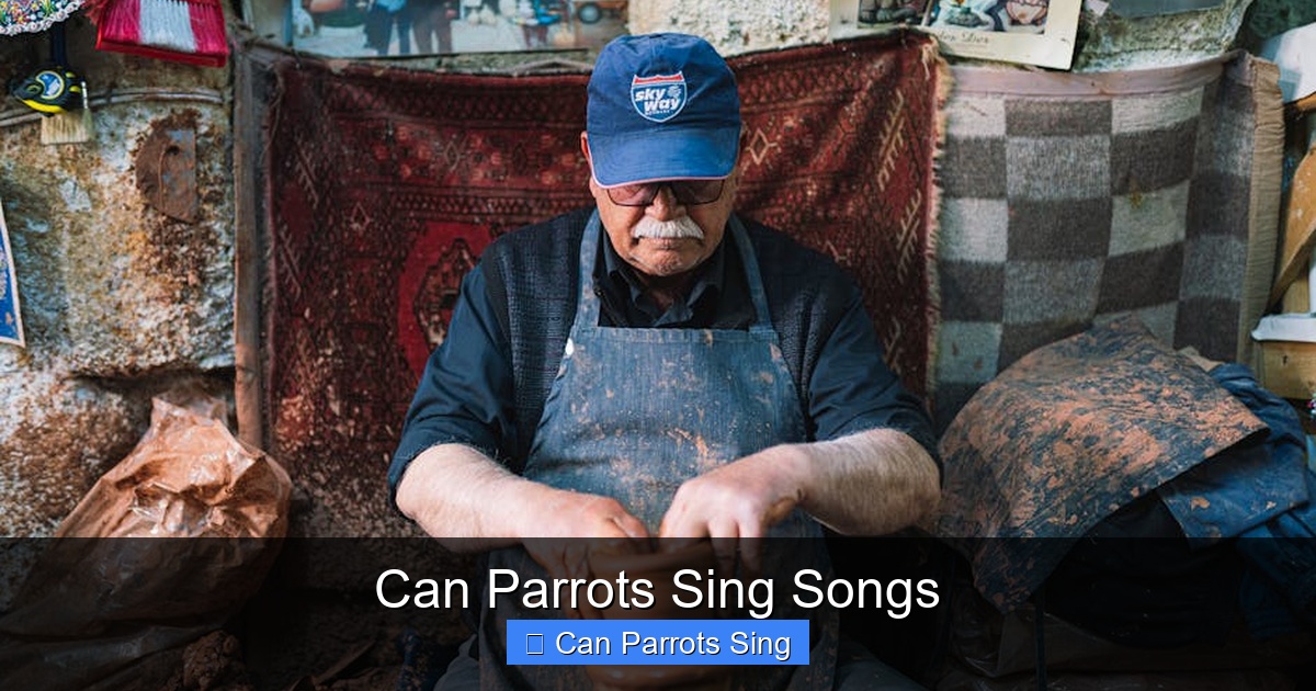Featured image for Can Parrots Sing Songs