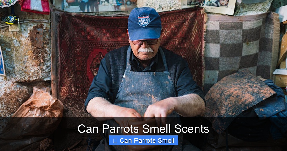 Featured image for Can Parrots Smell Scents