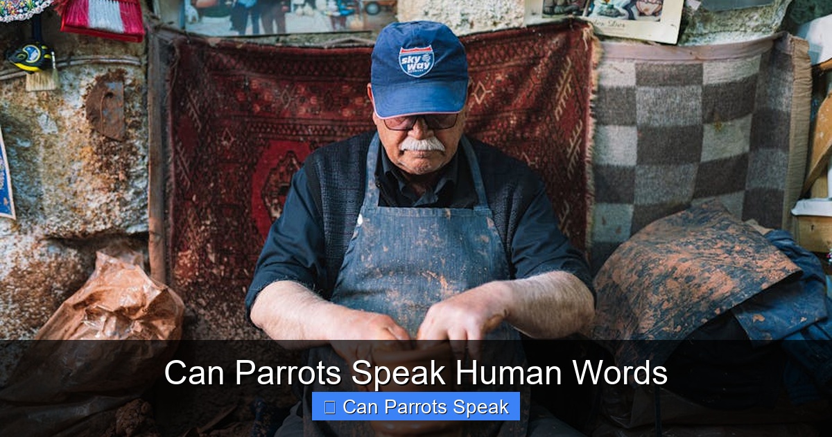 Featured image for Can Parrots Speak Human Words