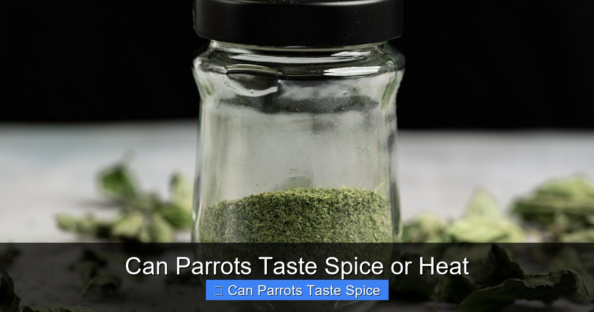 Featured image for Can Parrots Taste Spice or Heat