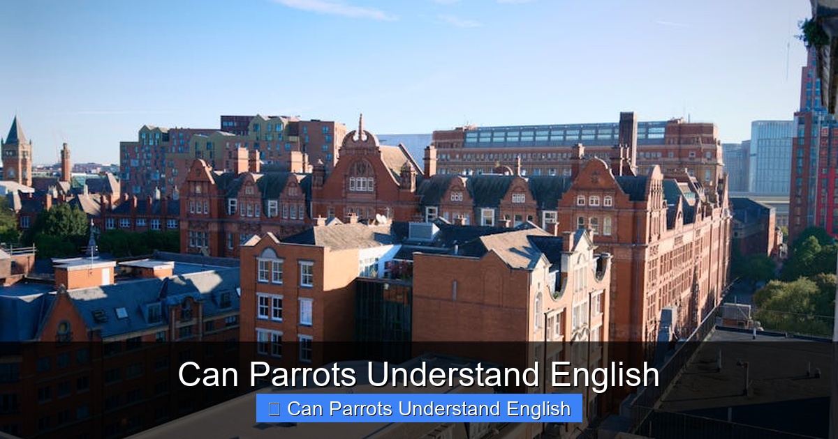 Featured image for Can Parrots Understand English