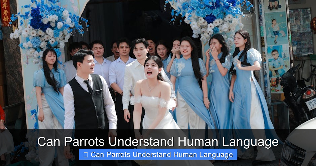 Featured image for Can Parrots Understand Human Language