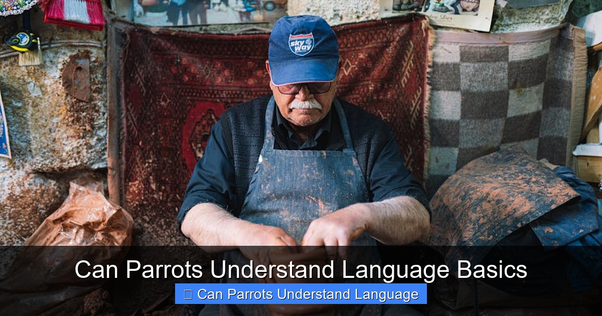 Featured image for Can Parrots Understand Language Basics