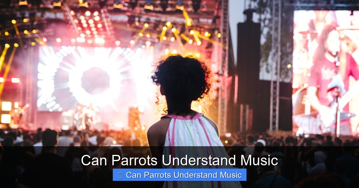 Featured image for Can Parrots Understand Music