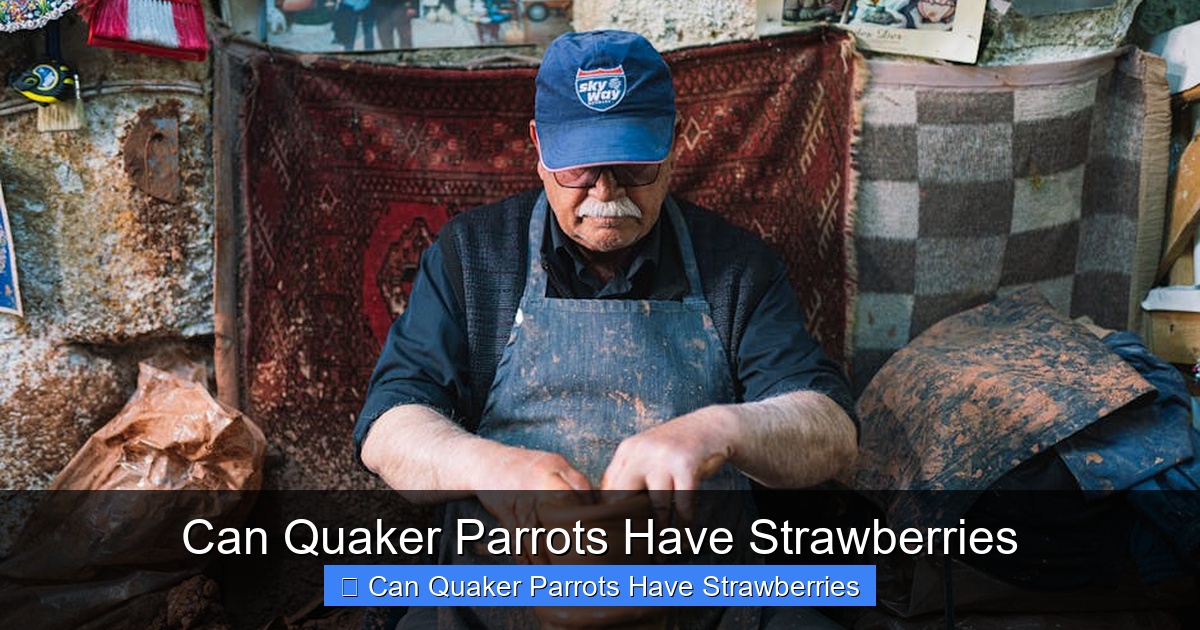 Featured image for Can Quaker Parrots Have Strawberries