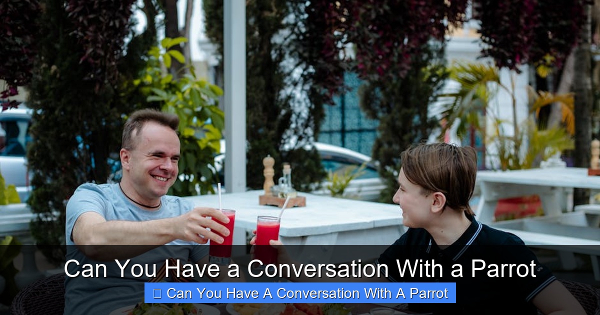 Featured image for Can You Have a Conversation With a Parrot
