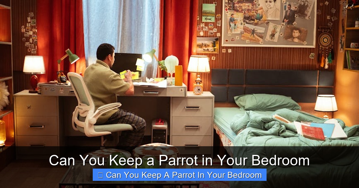 Featured image for Can You Keep a Parrot in Your Bedroom