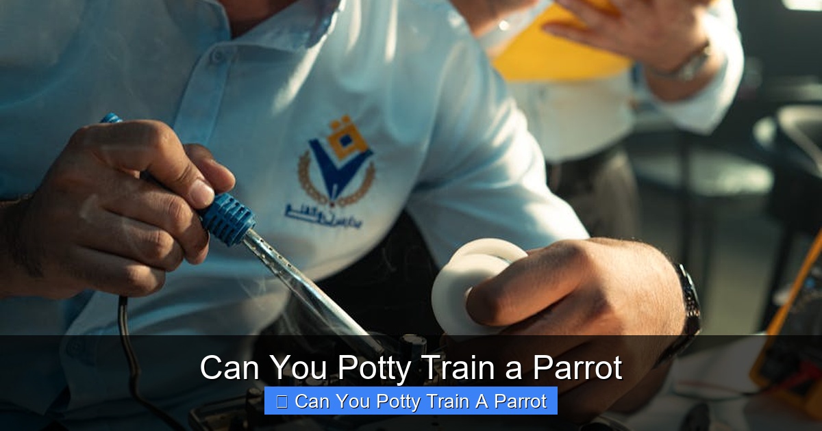 Featured image for Can You Potty Train a Parrot