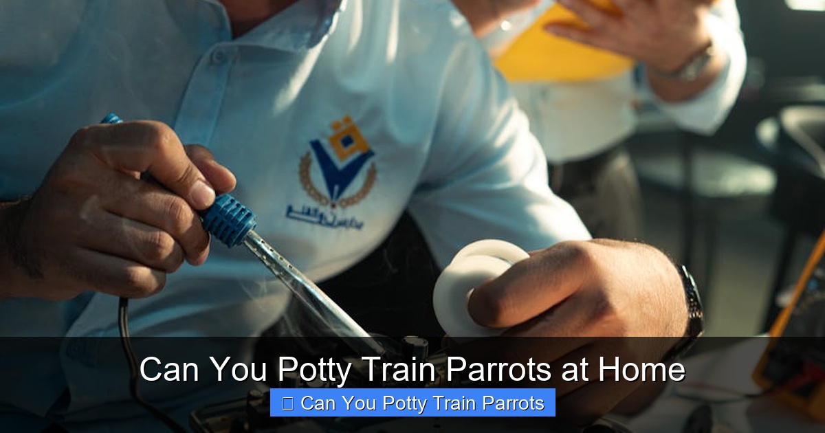 Featured image for Can You Potty Train Parrots at Home