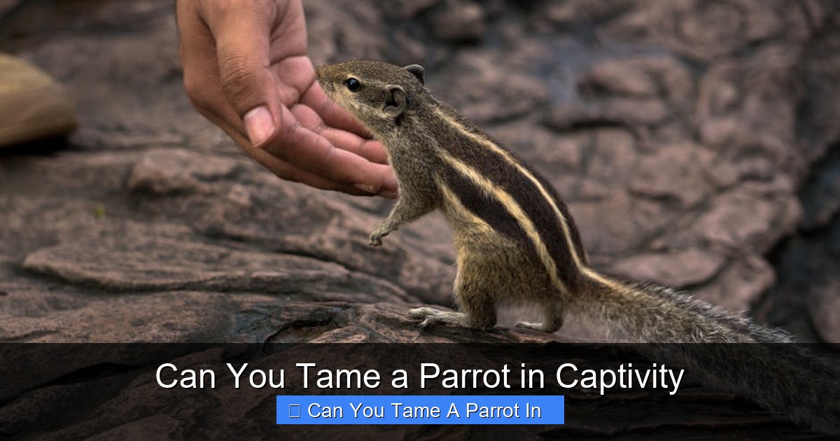 Featured image for Can You Tame a Parrot in Captivity
