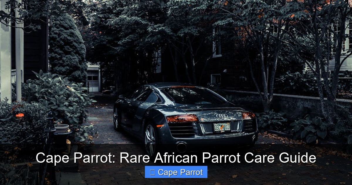 Featured image for Cape Parrot: Rare African Parrot Care Guide