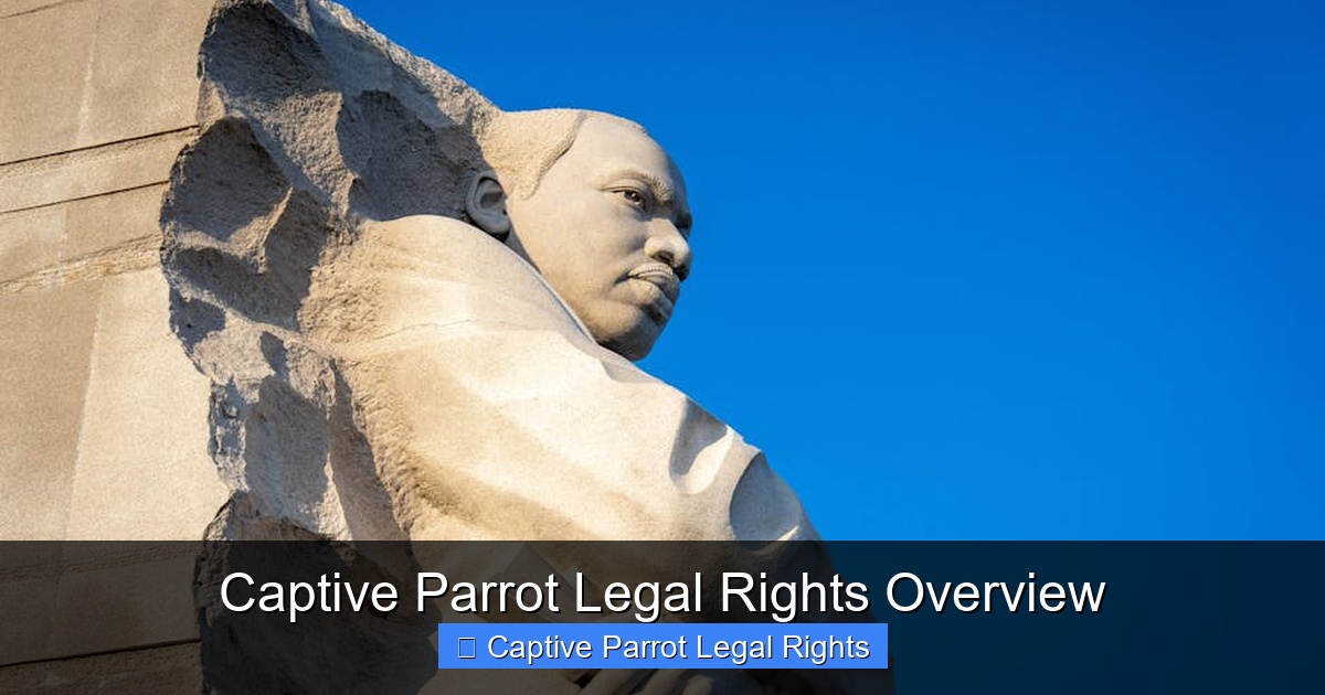 Featured image for Captive Parrot Legal Rights Overview