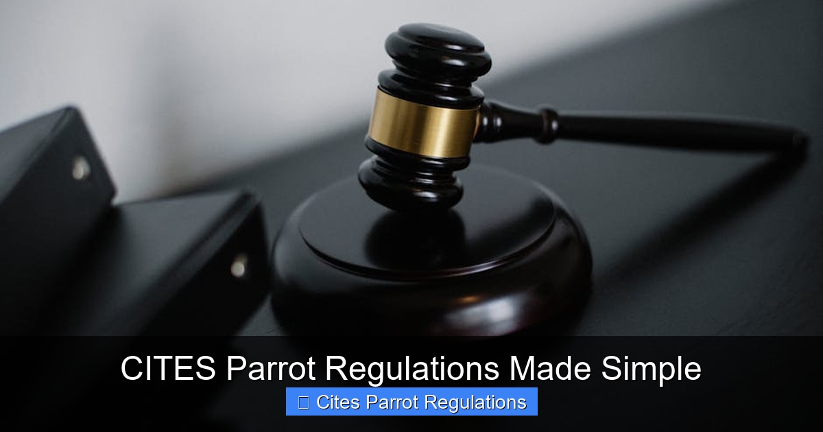 Featured image for CITES Parrot Regulations Made Simple