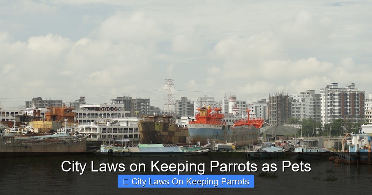 Featured image for City Laws on Keeping Parrots as Pets