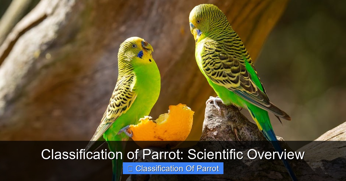 Featured image for Classification of Parrot: Scientific Overview