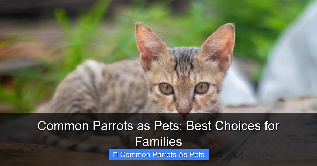Featured image for Common Parrots as Pets: Best Choices for Families