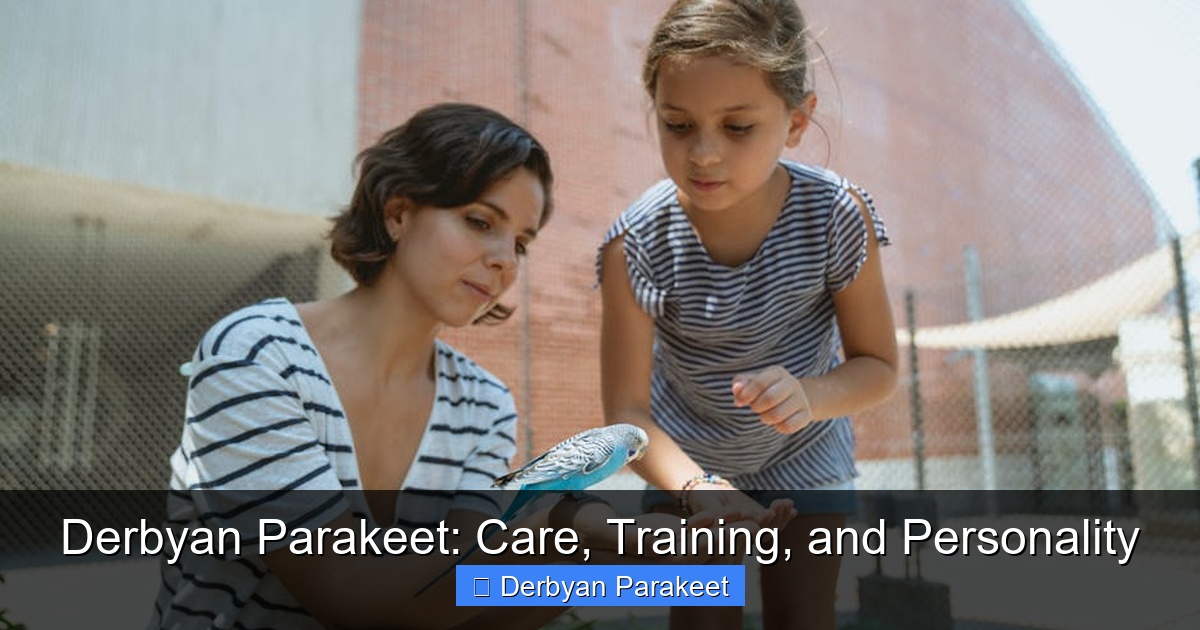 Featured image for Derbyan Parakeet: Care, Training, and Personality