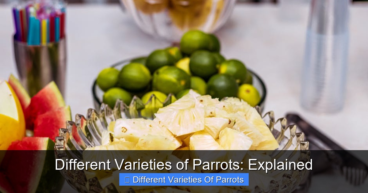 Featured image for Different Varieties of Parrots: Explained