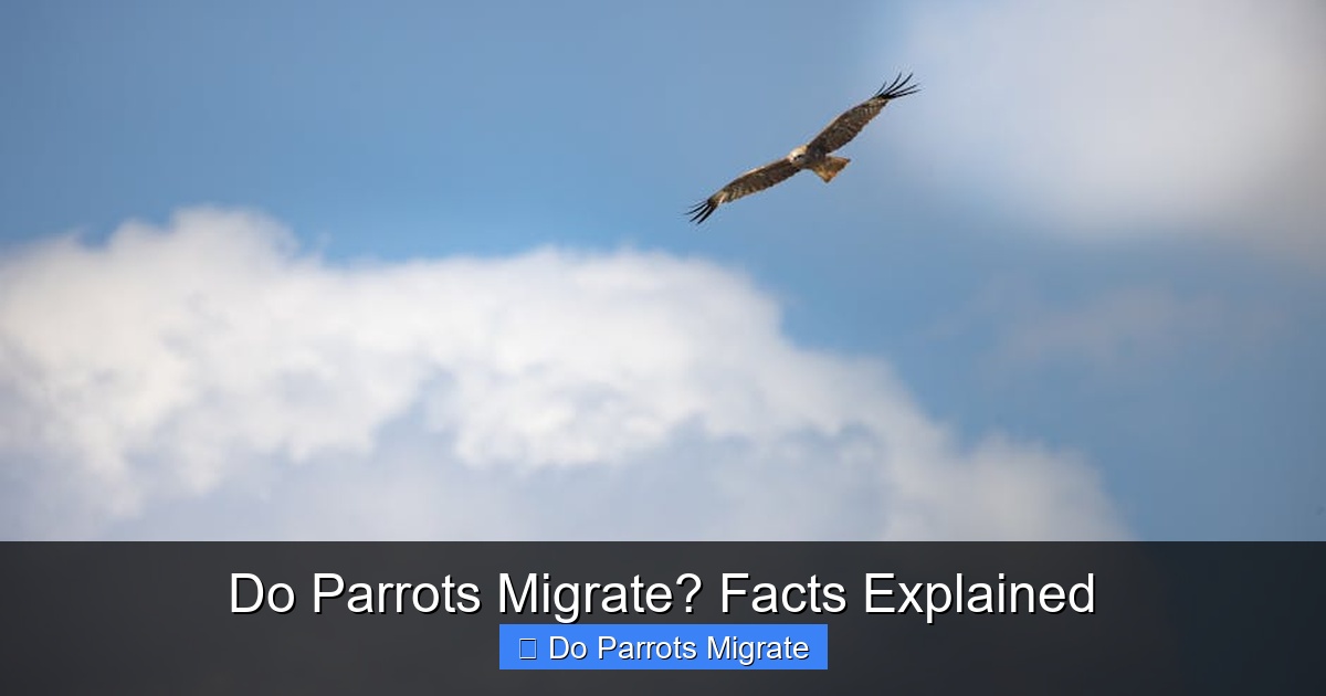 Featured image for Do Parrots Migrate? Facts Explained