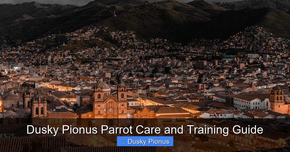 Featured image for Dusky Pionus Parrot Care and Training Guide