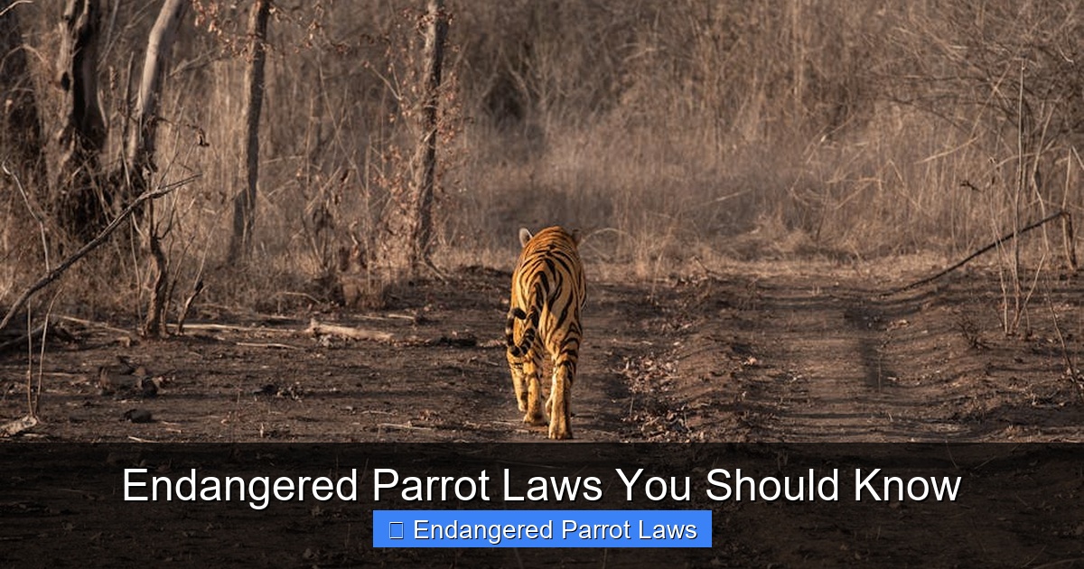 Featured image for Endangered Parrot Laws You Should Know