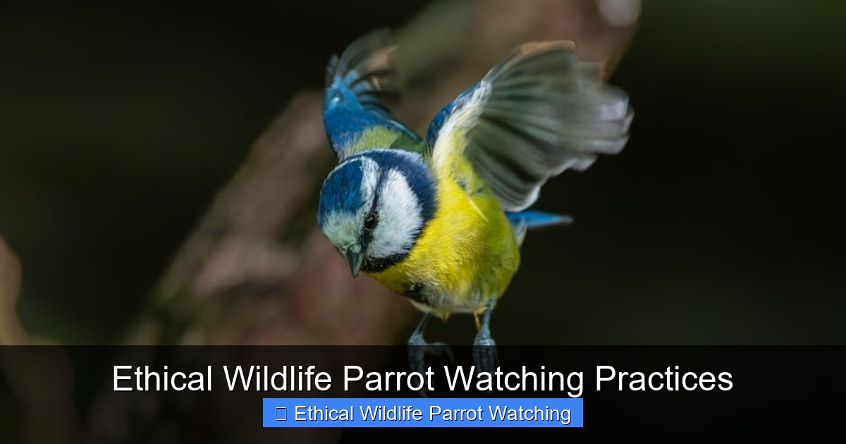 Featured image for Ethical Wildlife Parrot Watching Practices