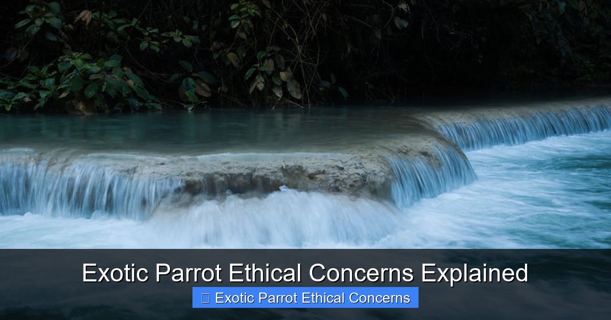 Featured image for Exotic Parrot Ethical Concerns Explained