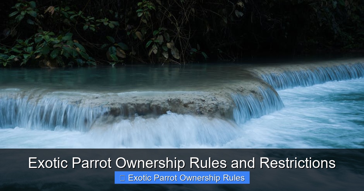 Featured image for Exotic Parrot Ownership Rules and Restrictions