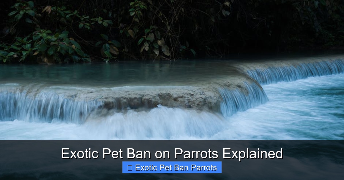 Featured image for Exotic Pet Ban on Parrots Explained