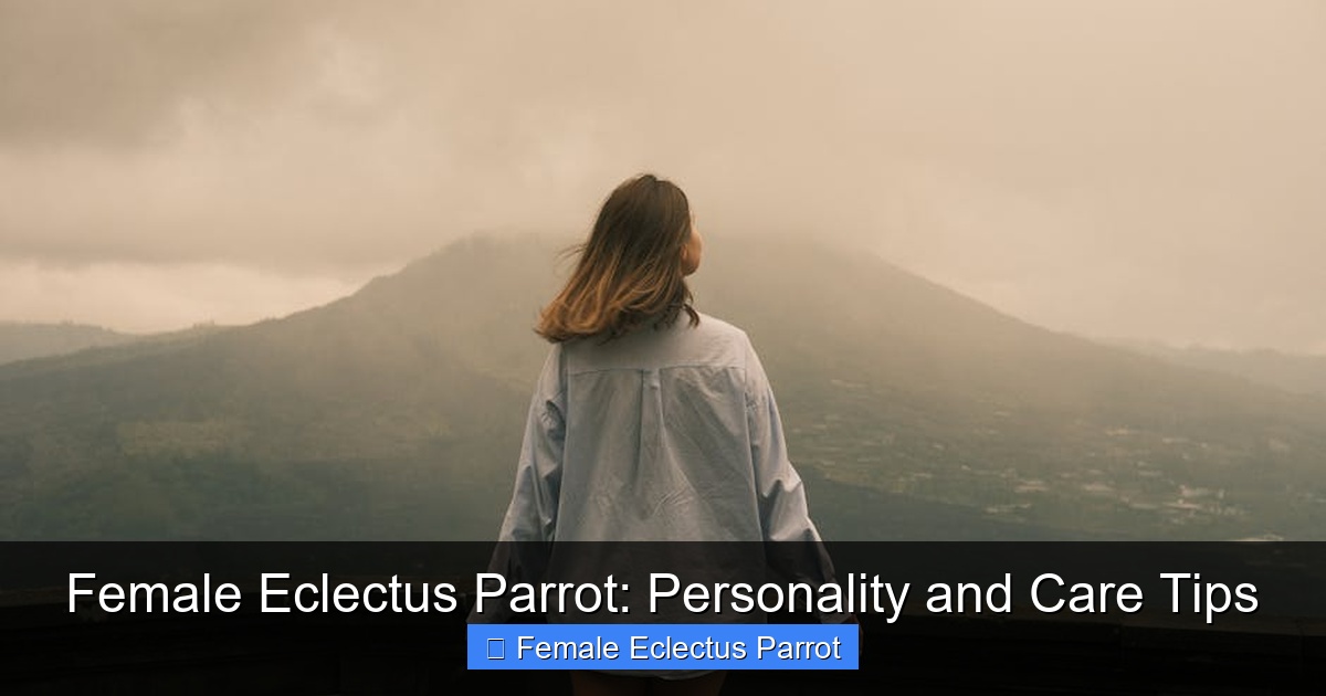 Featured image for Female Eclectus Parrot: Personality and Care Tips