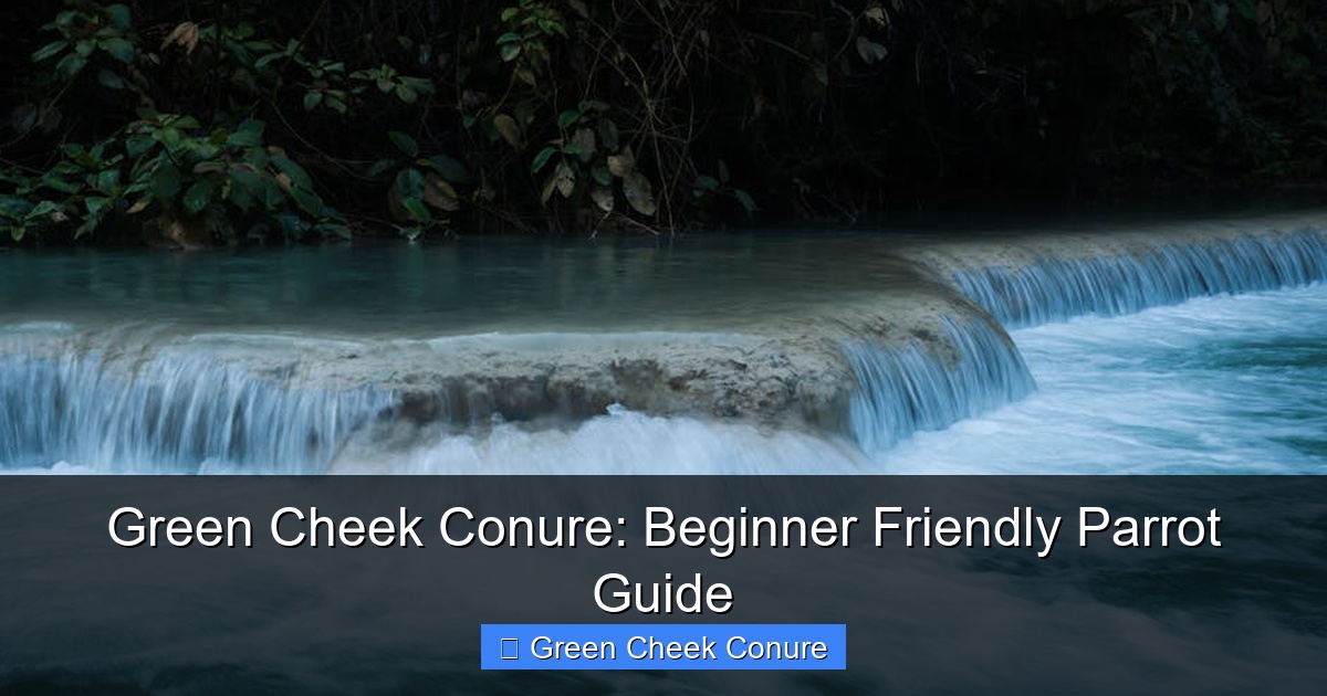 Featured image for Green Cheek Conure: Beginner Friendly Parrot Guide