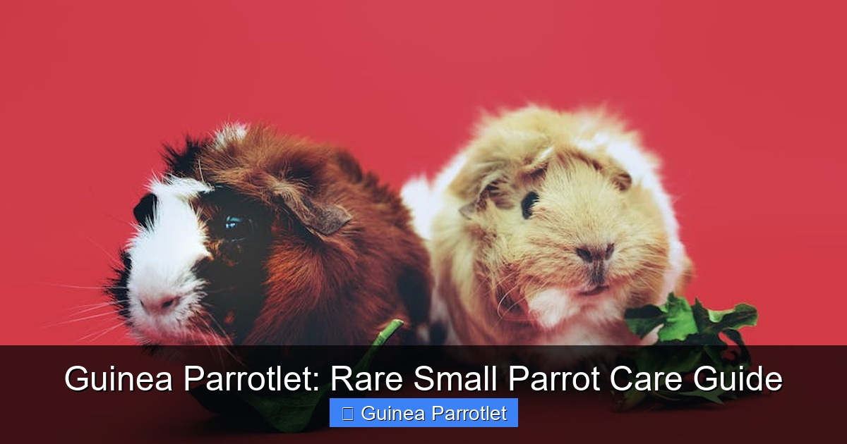 Featured image for Guinea Parrotlet: Rare Small Parrot Care Guide
