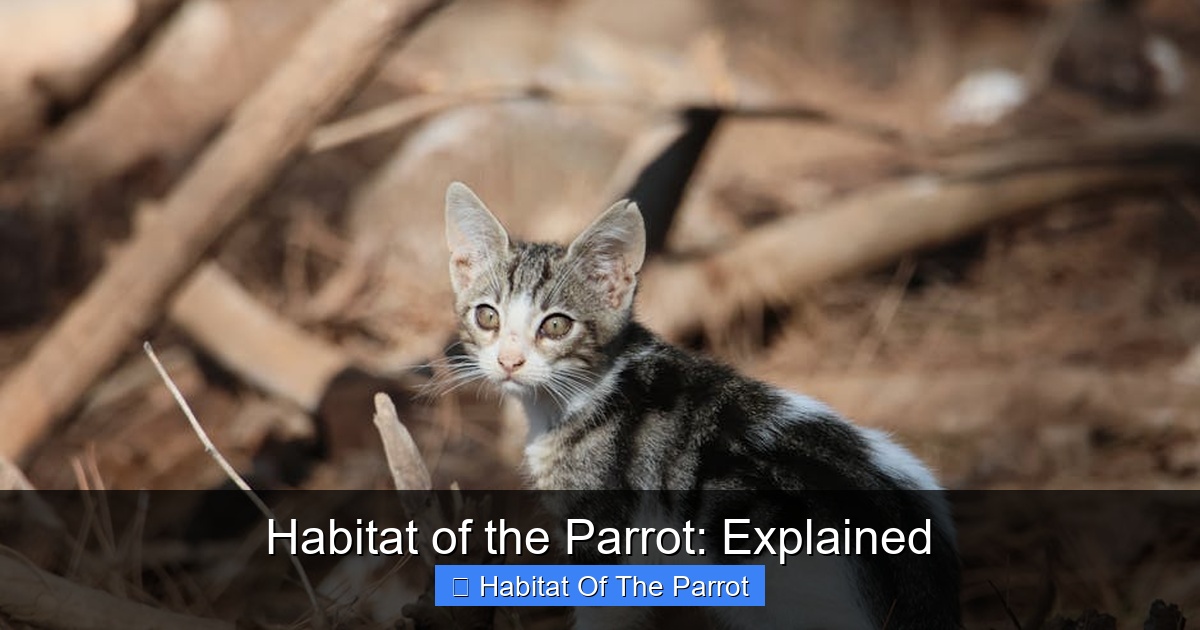 Featured image for Habitat of the Parrot: Explained