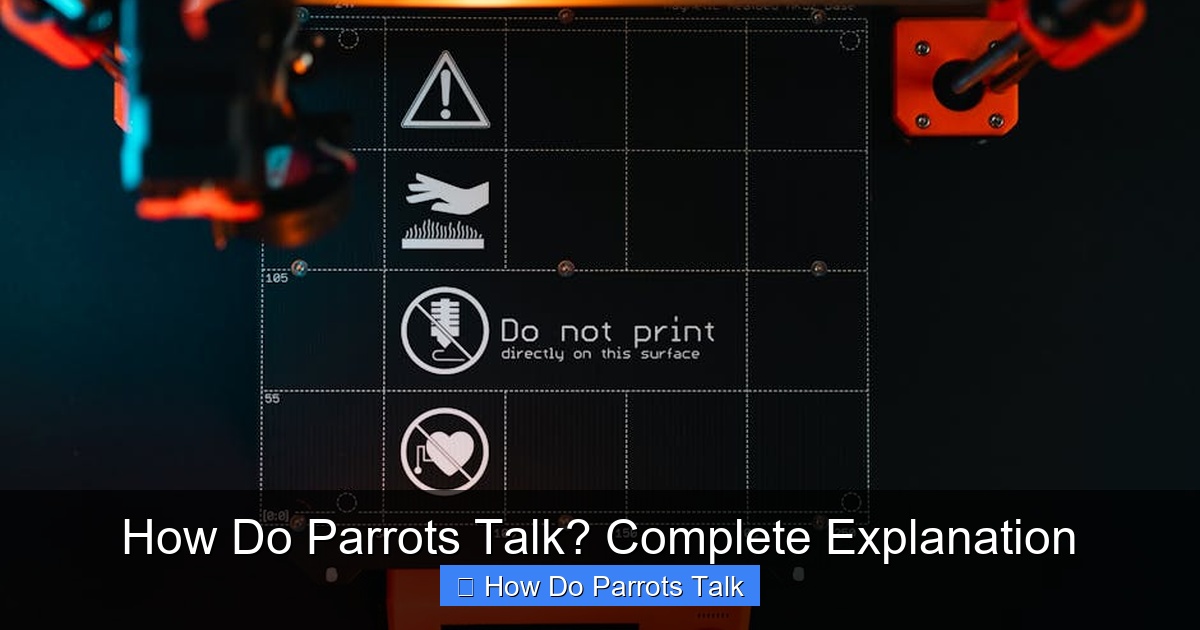 Featured image for How Do Parrots Talk? Complete Explanation