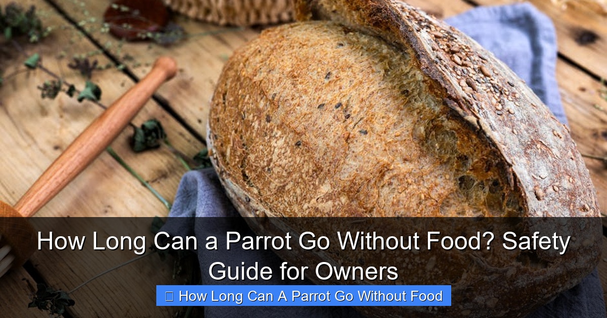 Featured image for How Long Can a Parrot Go Without Food? Safety Guide for Owners