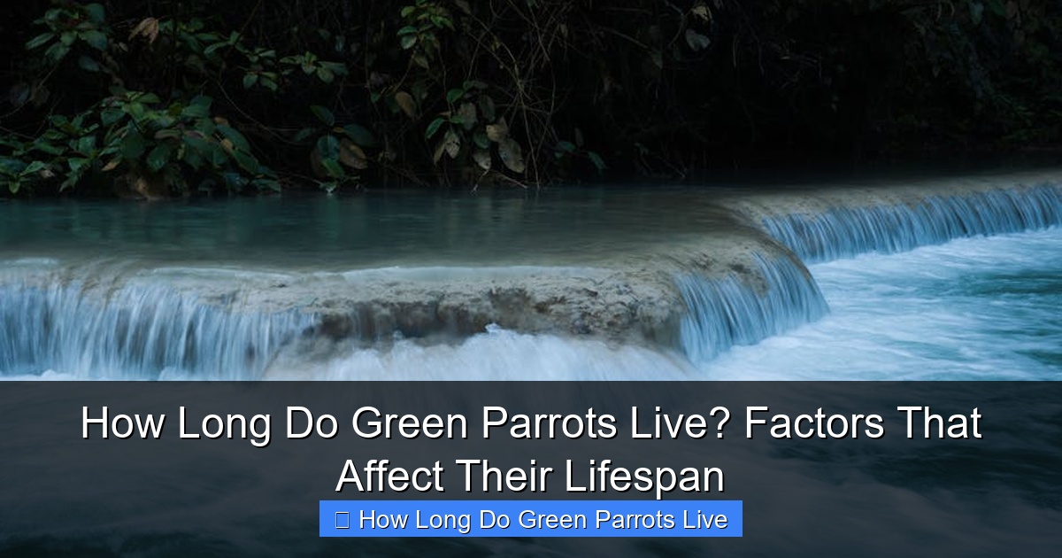 Featured image for How Long Do Green Parrots Live? Factors That Affect Their Lifespan