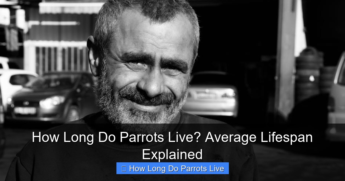 Featured image for How Long Do Parrots Live? Average Lifespan Explained
