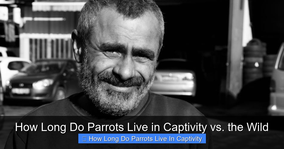 Featured image for How Long Do Parrots Live in Captivity vs. the Wild