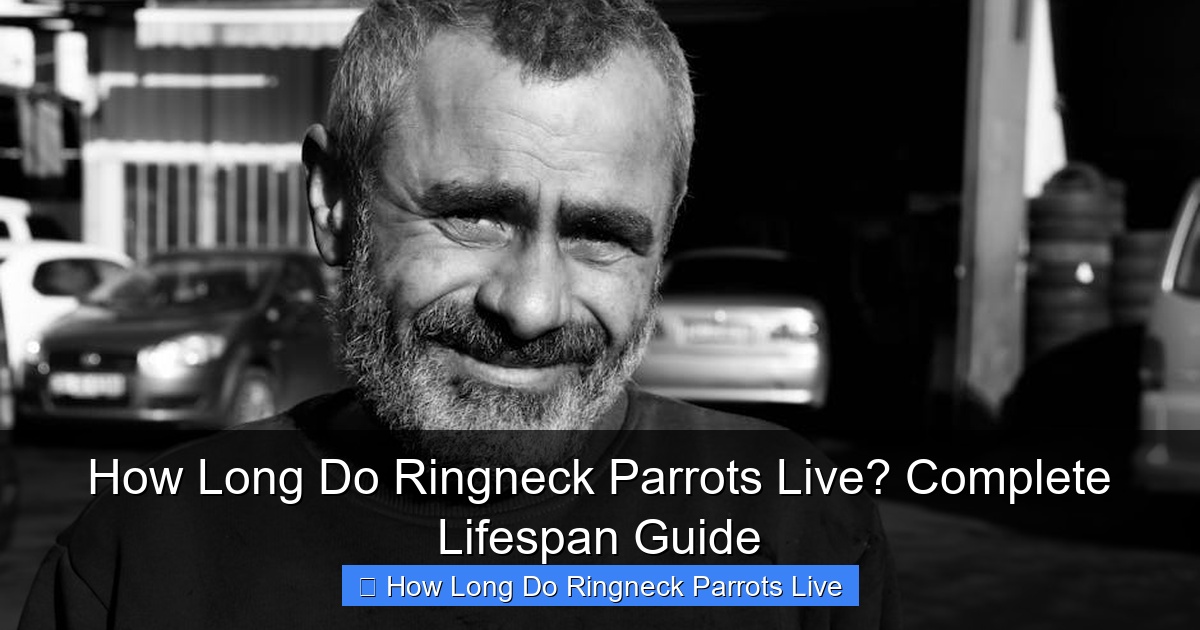Featured image for How Long Do Ringneck Parrots Live? Complete Lifespan Guide