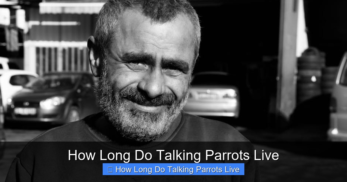 Featured image for How Long Do Talking Parrots Live