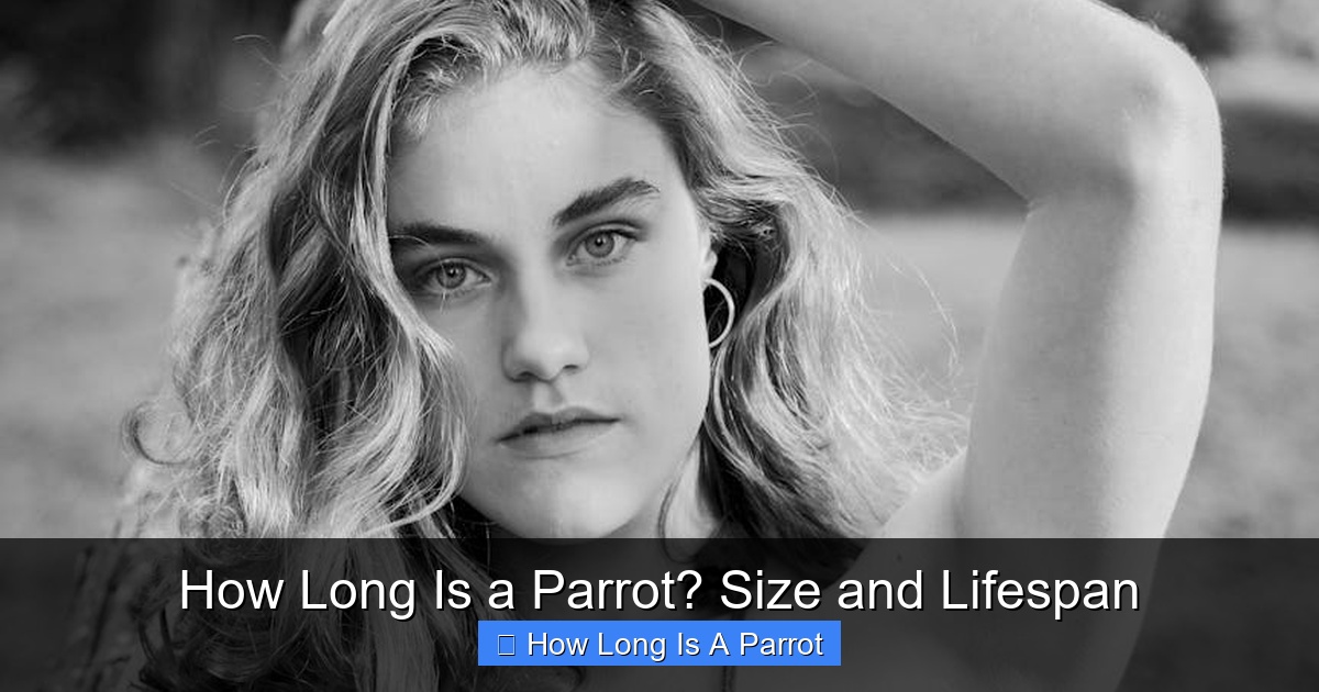 Featured image for How Long Is a Parrot? Size and Lifespan